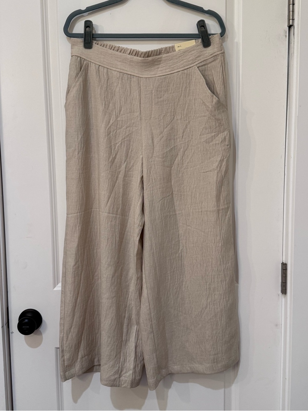 Max Studio Wide-Leg Pants in Sand